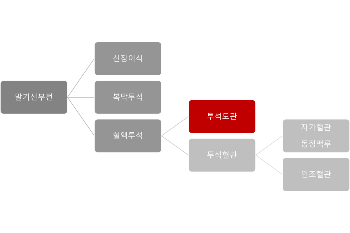 혈액투석 투석혈관 투석혈관사용법 투석혈관 수술 김포내과 검단내과
