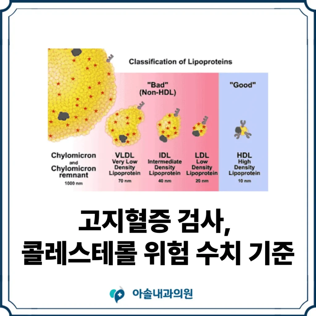 아솔내과 고지혈증 검사 썸네일