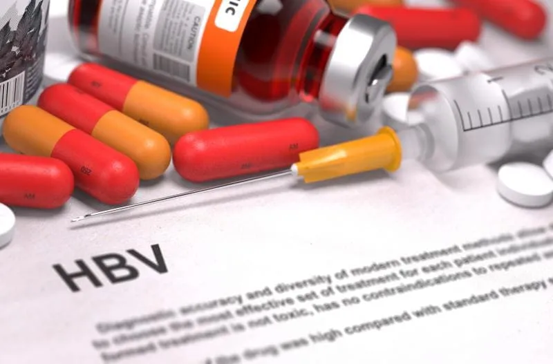 hbv 11zon