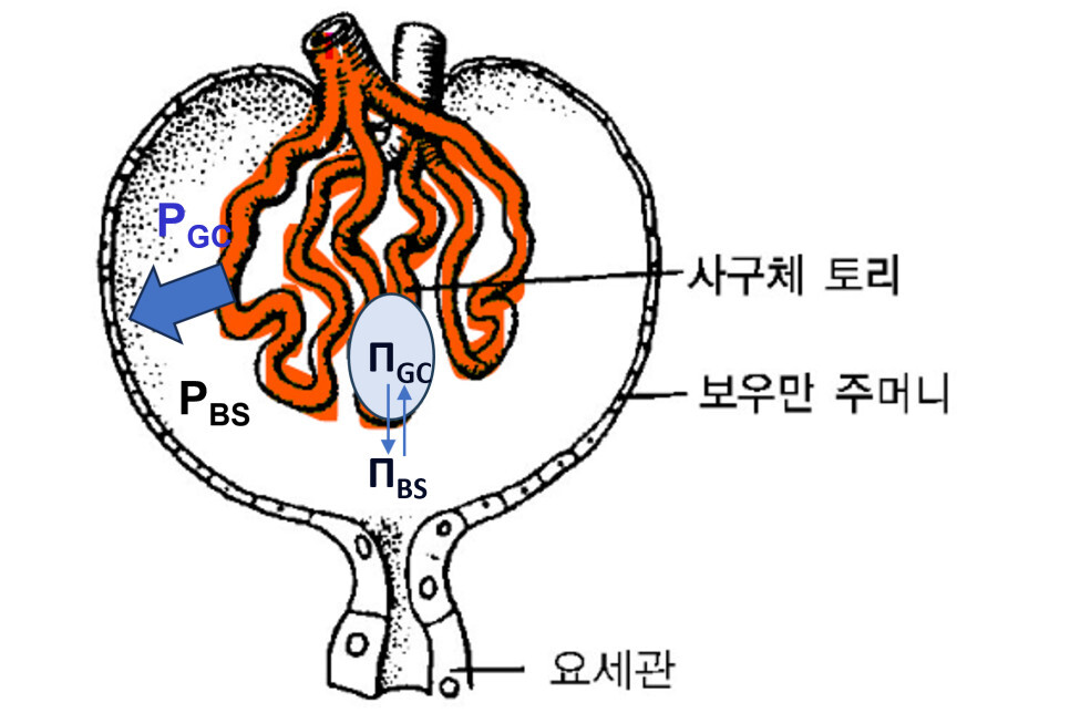 image 2 1