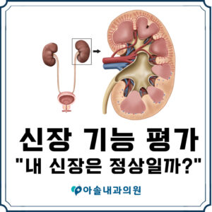 신장기능