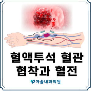 투석혈관