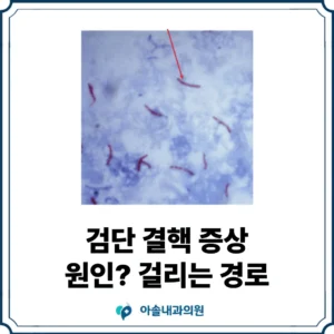 검단 결핵 증상