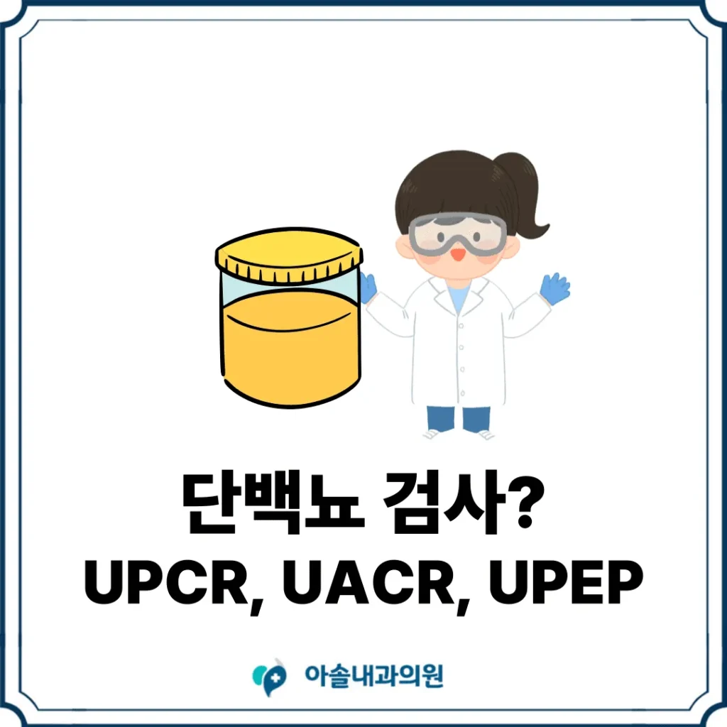 단백뇨 검사 썸네일